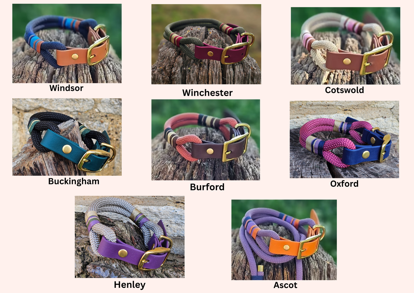 Premium Rope Collar & Lead Bundle