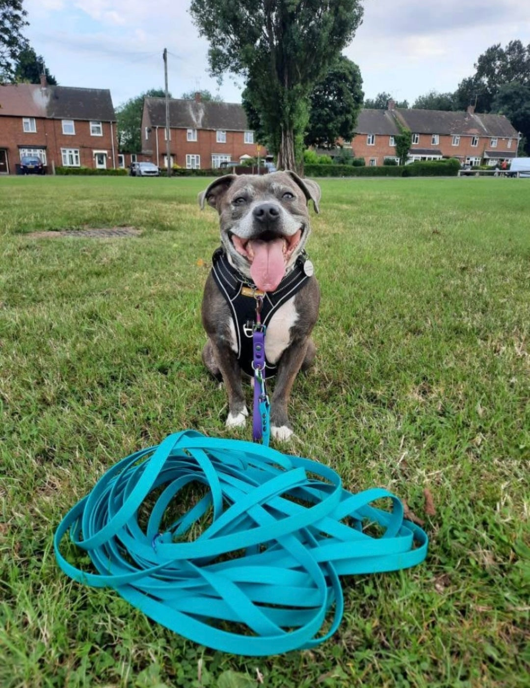 Waterproof Dog Long Line Lead