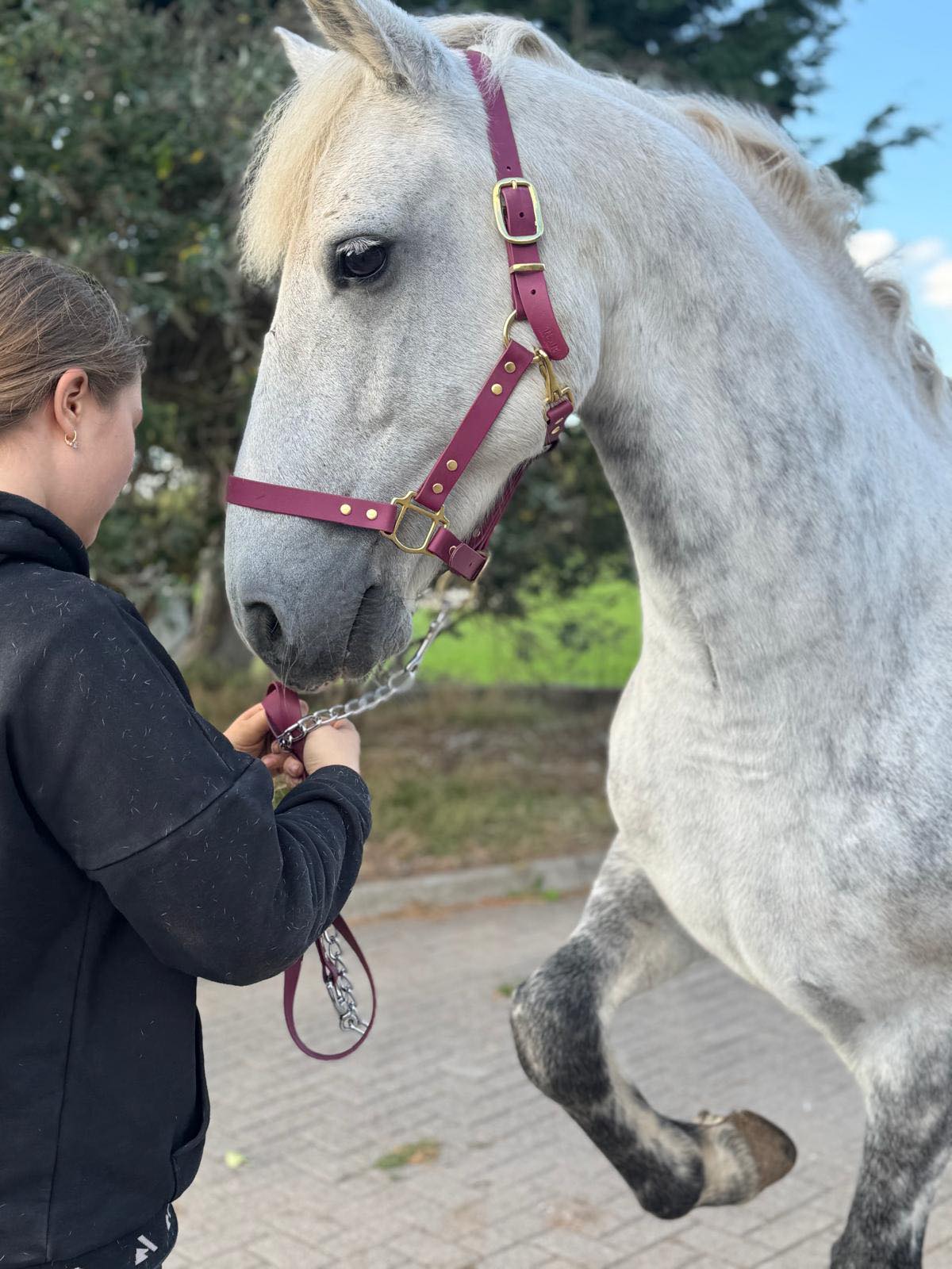 Burgundy - Waterproof BioThane® Horse Halters / Head Collars